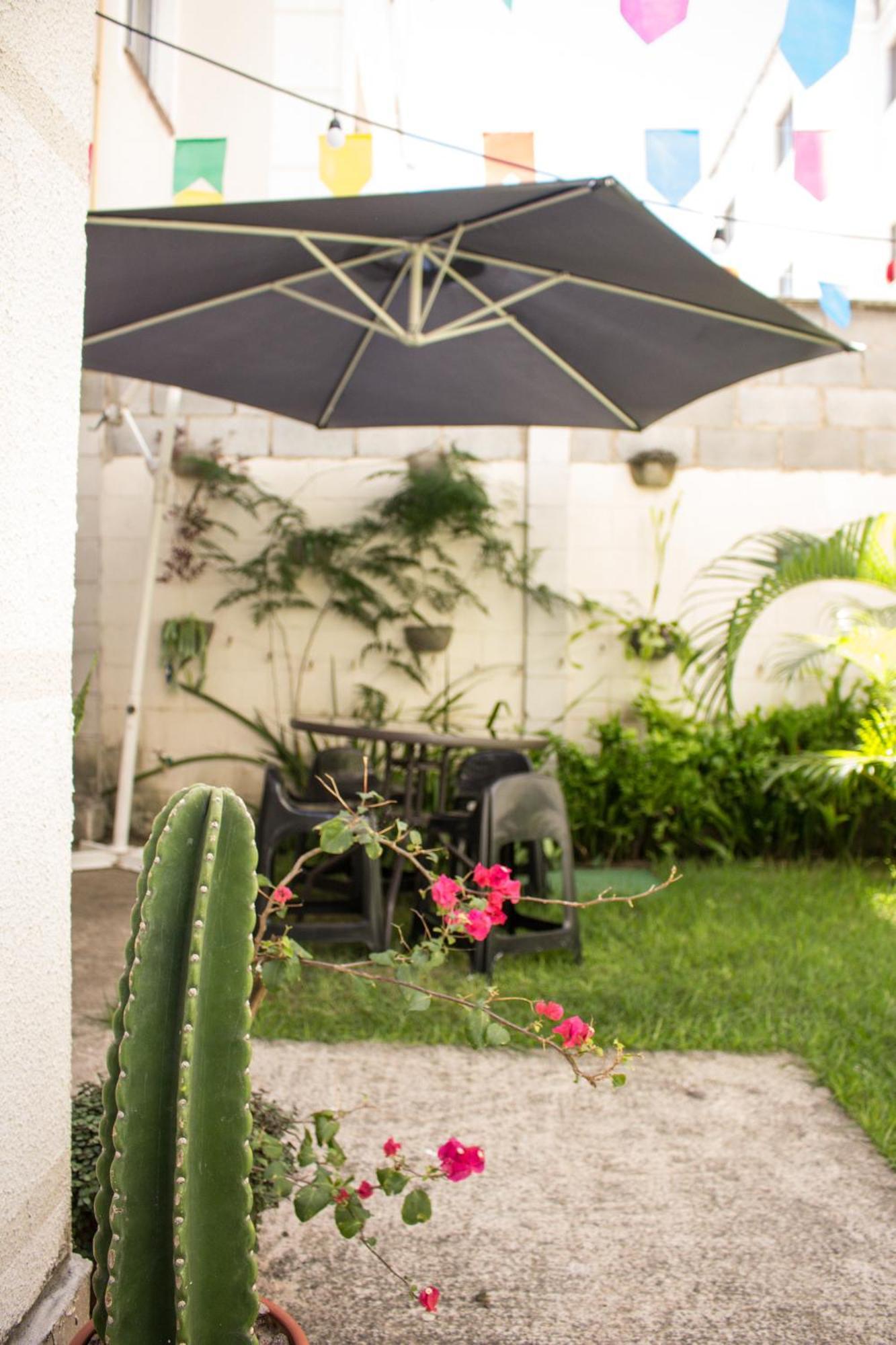 Cactus No Dallas Park Campina Grande